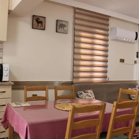 Iberia أورتاجا