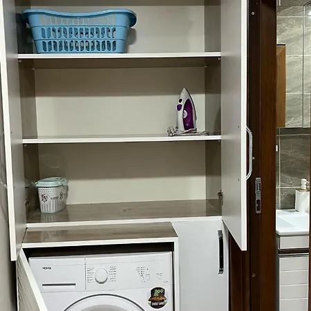 فيلة Iberia أورتاجا